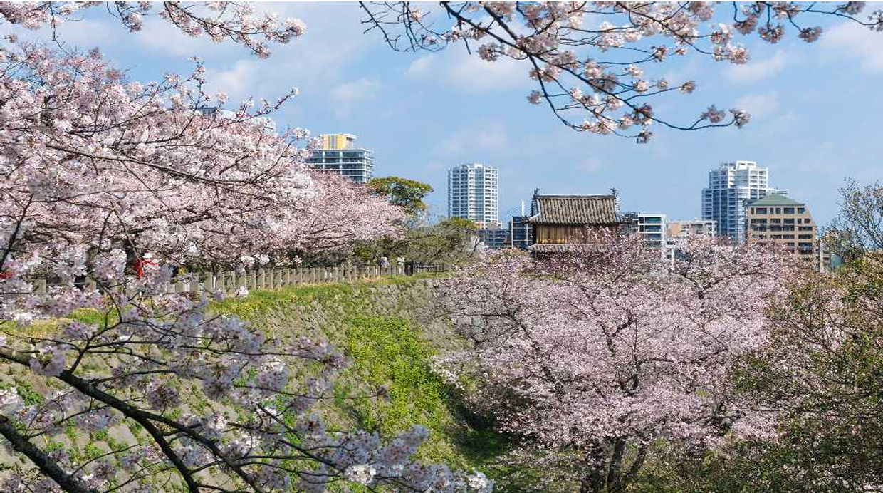 2027年3月26日 日本九州春季限定｜福岡櫻花草莓茶鄉五日