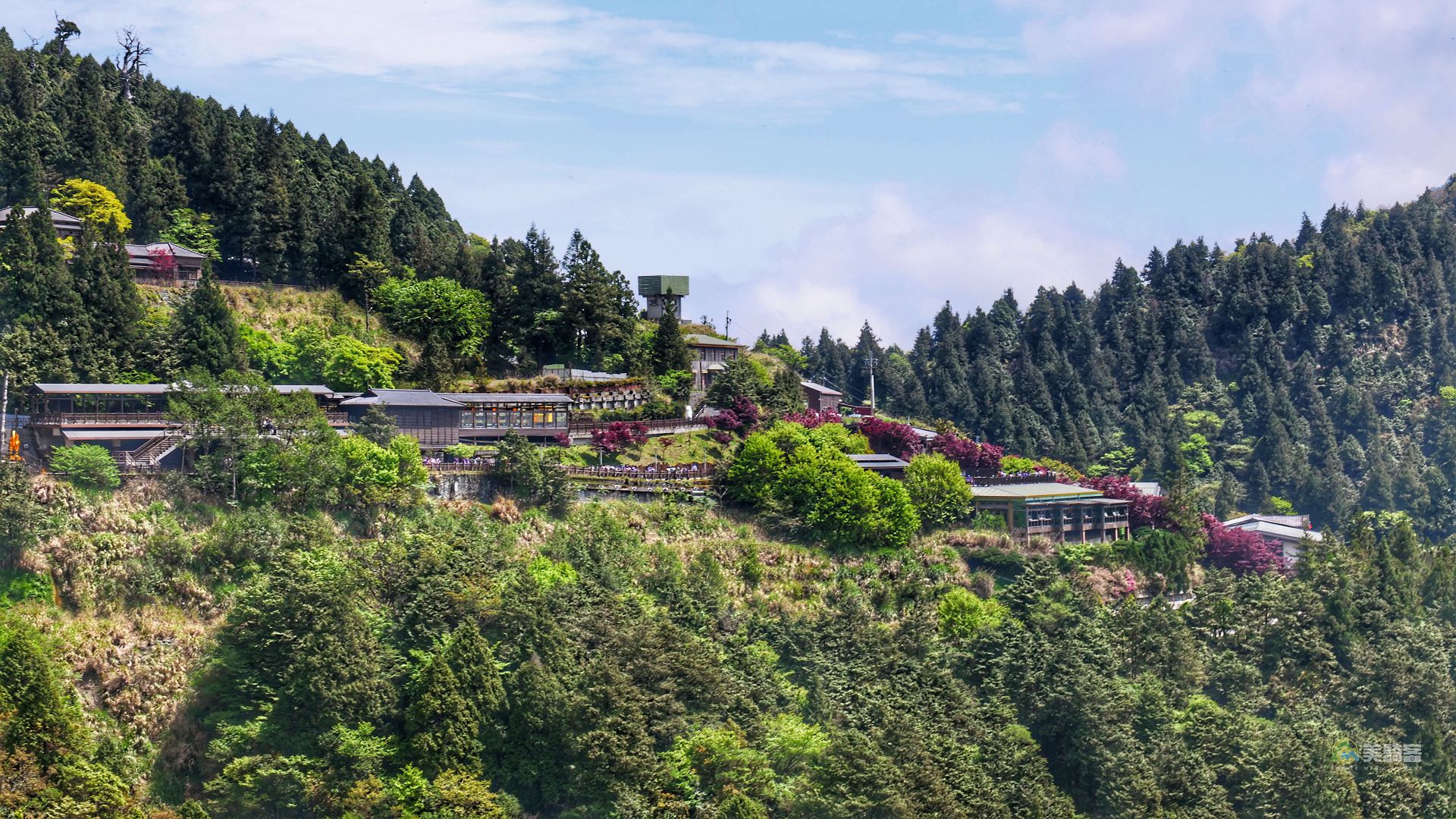 太平山挑戰